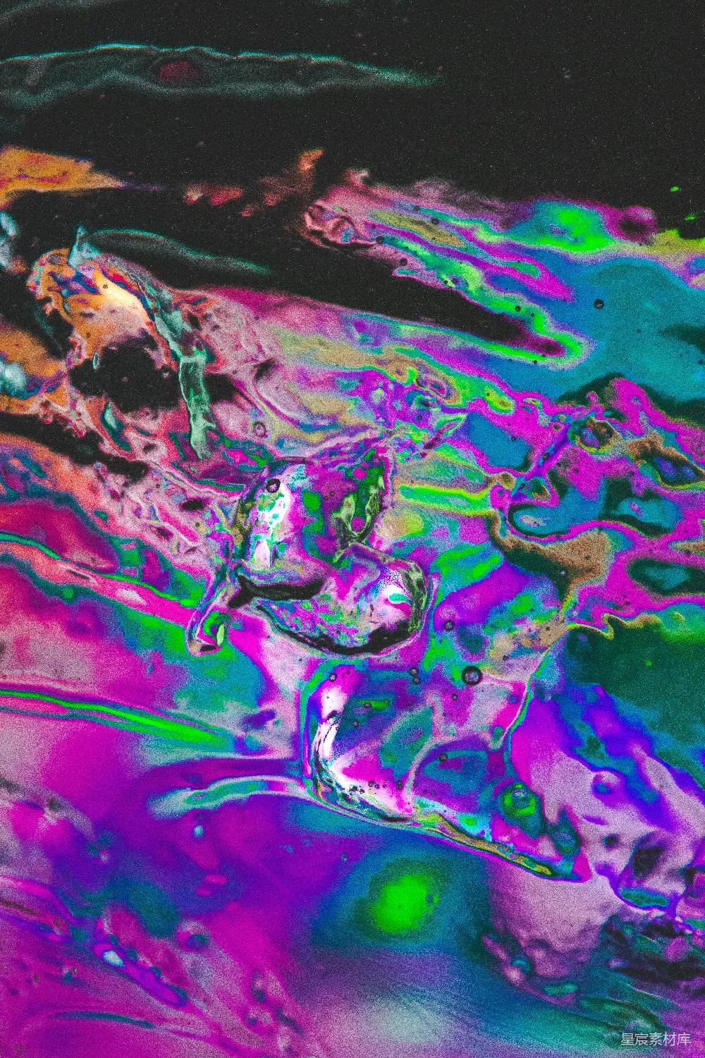 高清摄影  紫色和绿色的抽象画