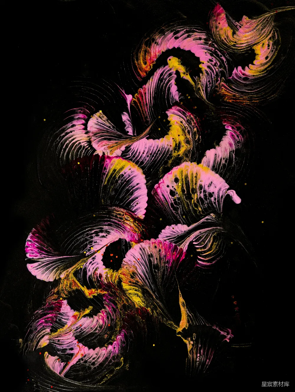高清摄影 壁纸 实验性 一幅黑底上的花卉画