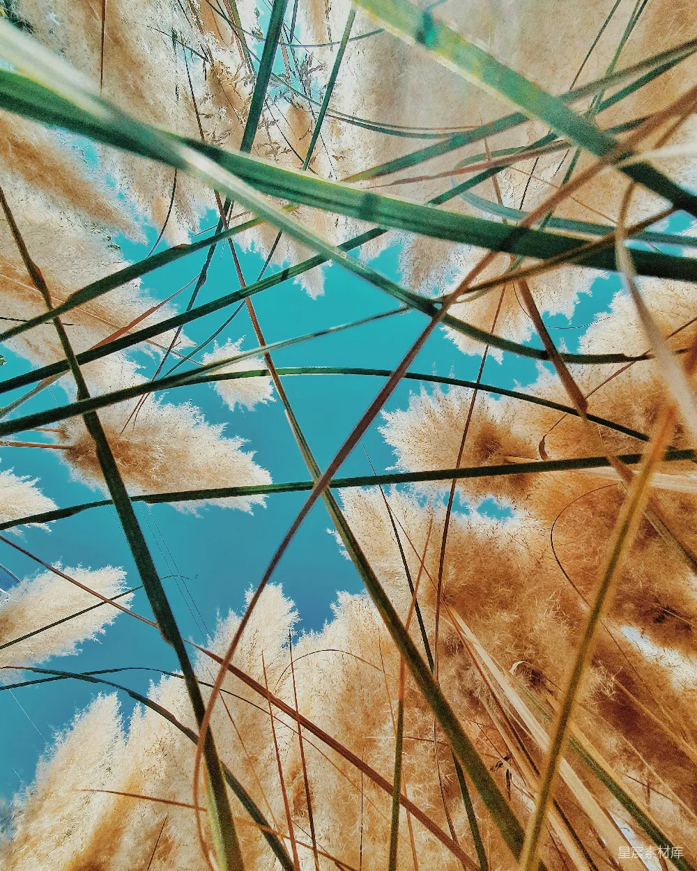 高清摄影  棕色和蓝色抽象画