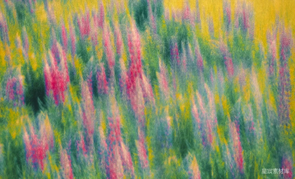 高清摄影 实验性 壁纸 模糊的粉绿色花朵与黄色背景。