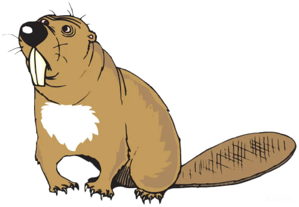 元素素材 Beaver