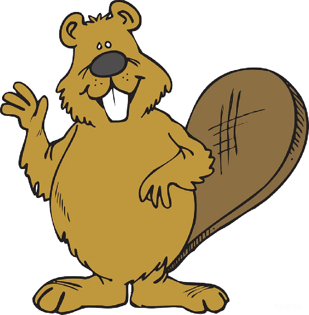 元素素材 Beaver