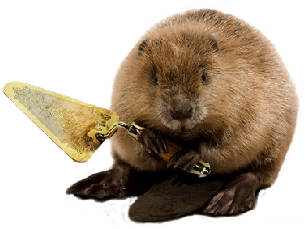 元素素材 Beaver