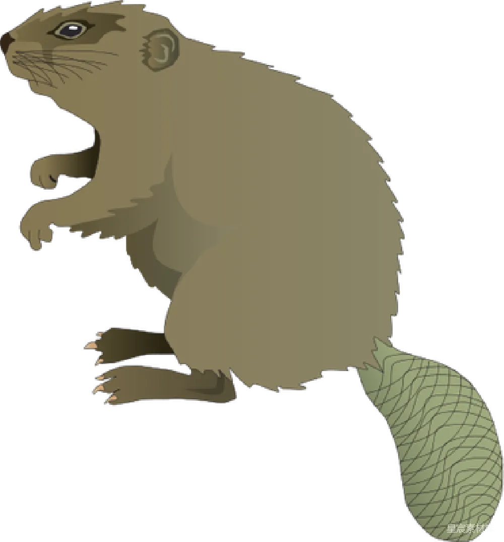 元素素材 元素 Beaver
