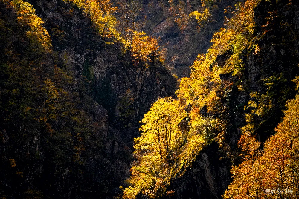 高清摄影 自然 旅行 壁纸 一片峡谷的景色，黄色和绿色的树木交相辉映。