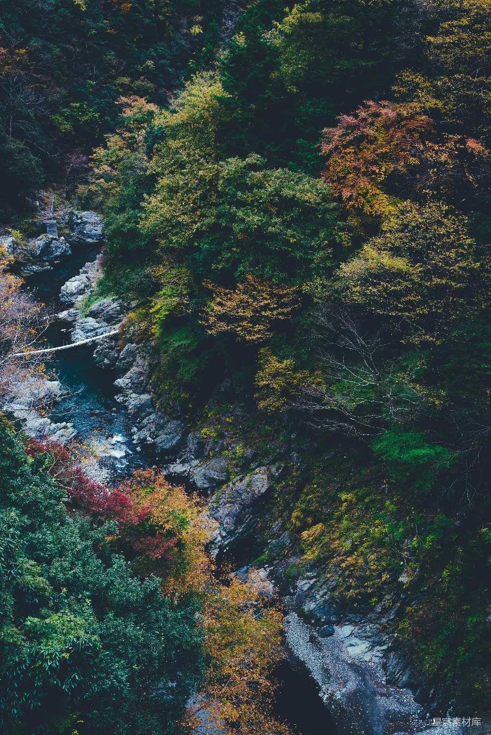 高清摄影  森林中间的河流