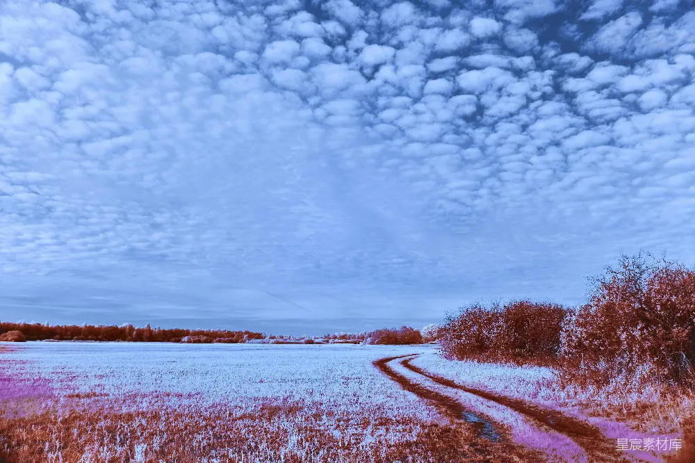 高清摄影 实验性 泥泞的土路穿过雪地，天空布满阴云。