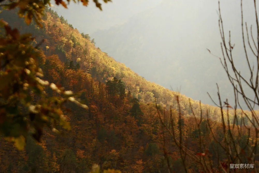 高清摄影  前景有树木的山景