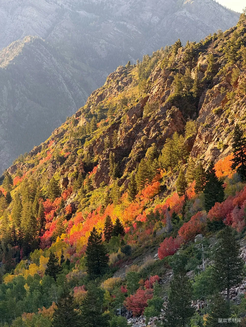 高清摄影  晨曦中，岩石山岗上长满的秋树。