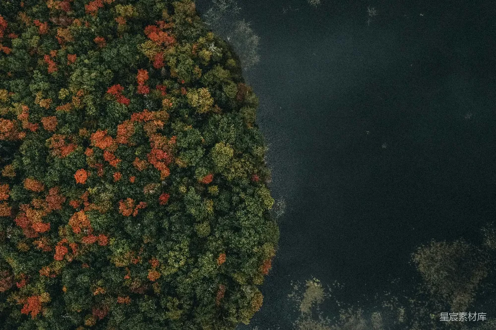 高清摄影 壁纸 自然 湖泊周围树木环绕的俯瞰图