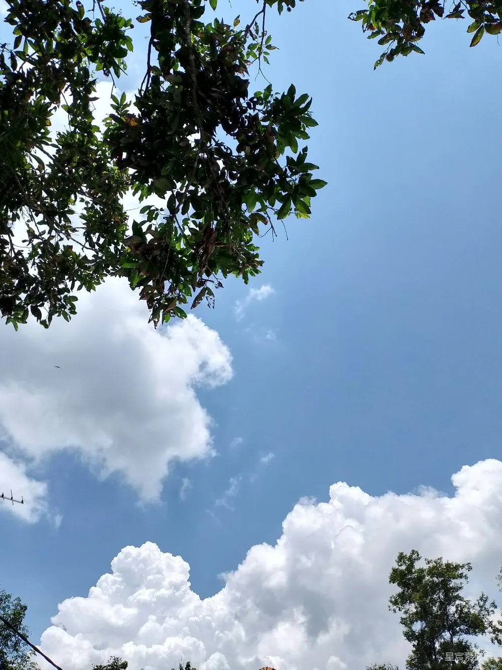 高清摄影  风筝在天空中高高飞翔。