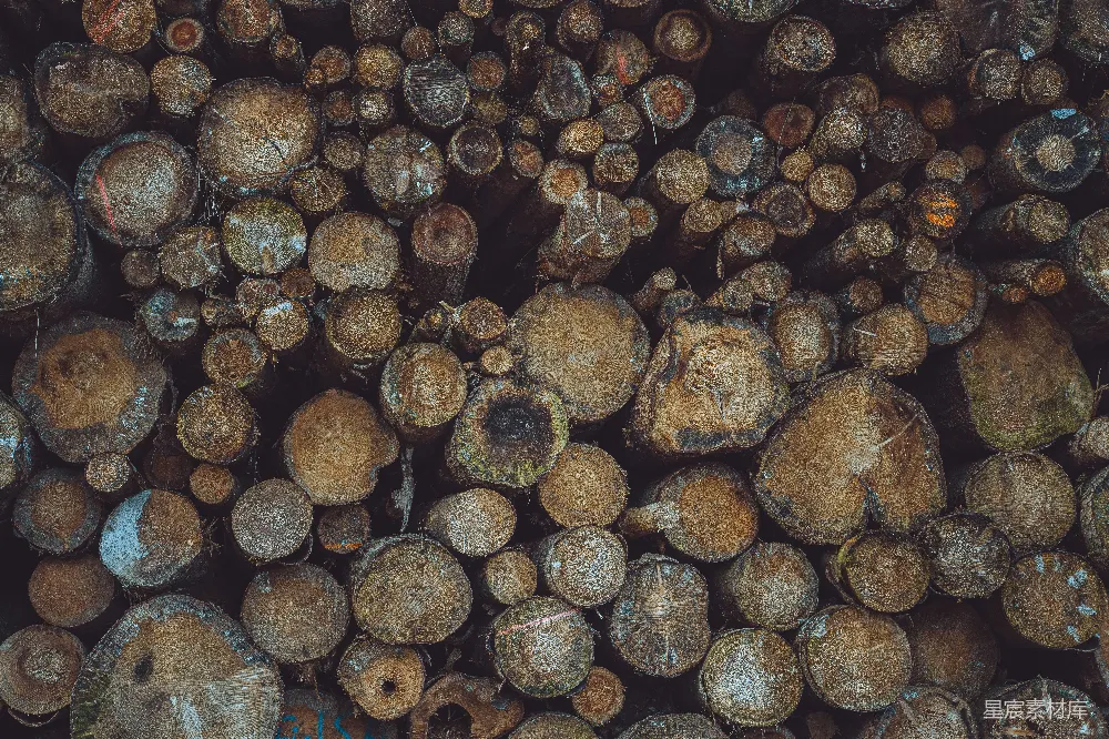 高清摄影  一堆砍好的木头叠在一起。