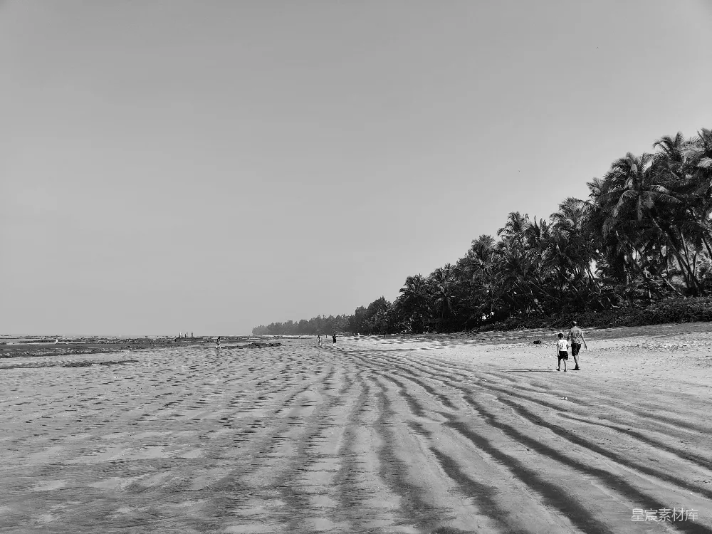 高清摄影 海滩 黑白 休闲 自然 风景 海边散步的黑白风景