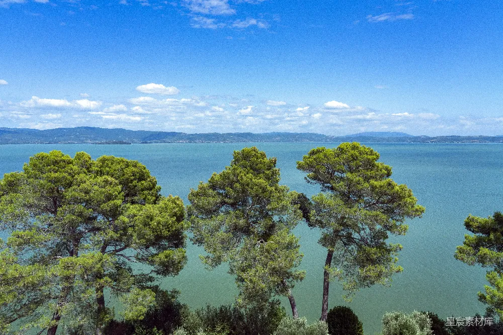 高清摄影 自然风光 湖景 松树 宁静 户外 湖畔松树