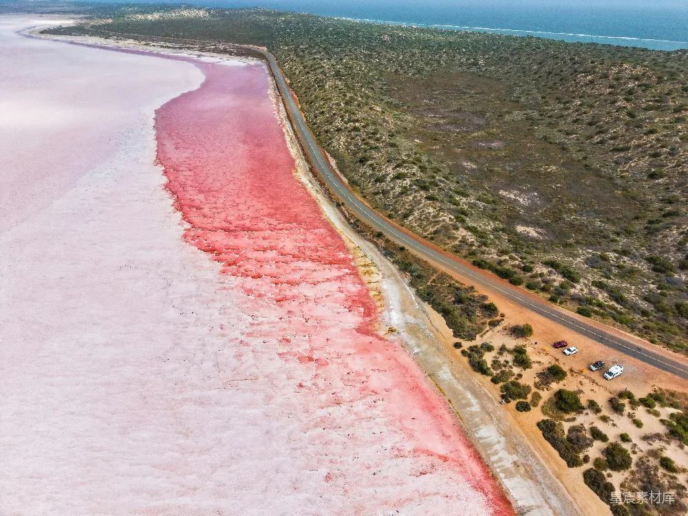 高清摄影 自然景观 航拍 粉红湖 海岸线 旅行 粉红盐湖与海岸线的航拍视角