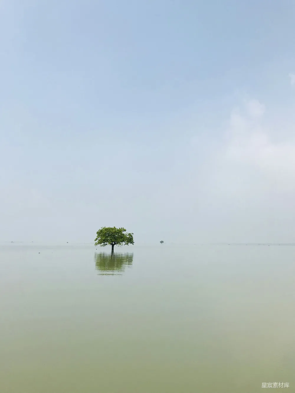 高清摄影 自然风光 宁静 孤独 平静 湖泊 淹没在湖中的树