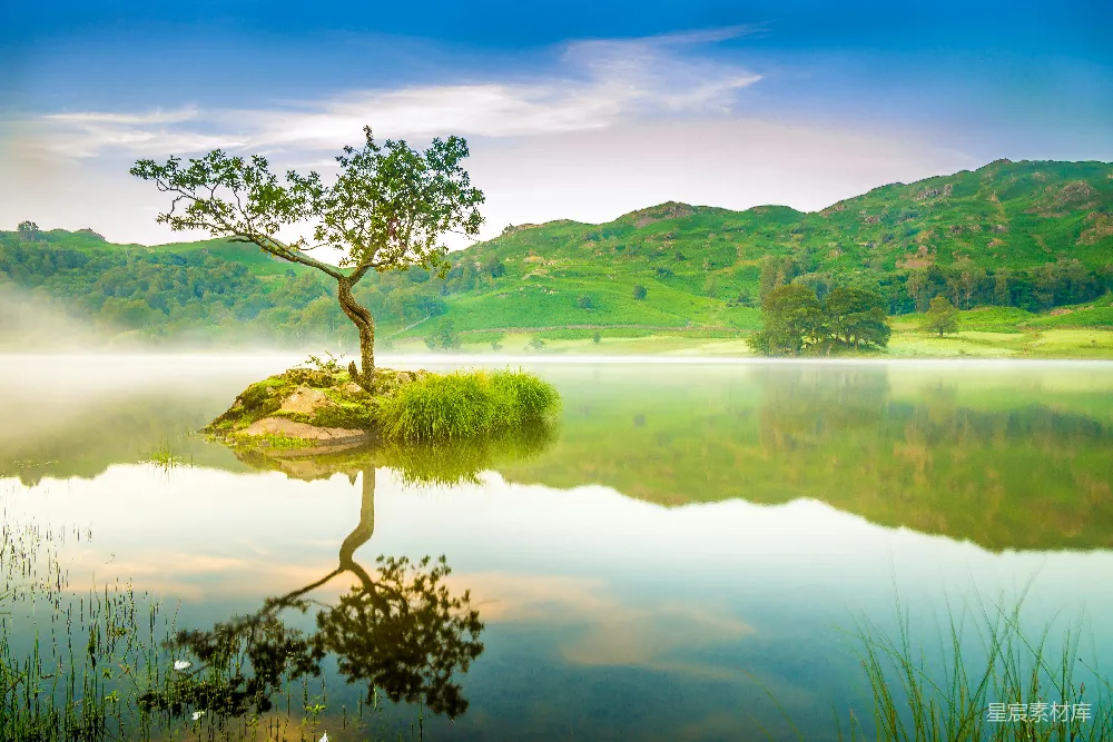 高清摄影 自然风光 宁静 湖景 孤独之美 清晨 静谧湖畔的孤树