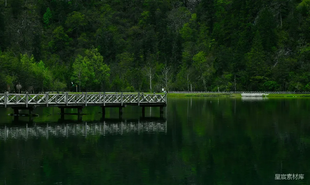 高清摄影 自然风光 宁静 木桥 水景 森林 静谧的湖畔小桥