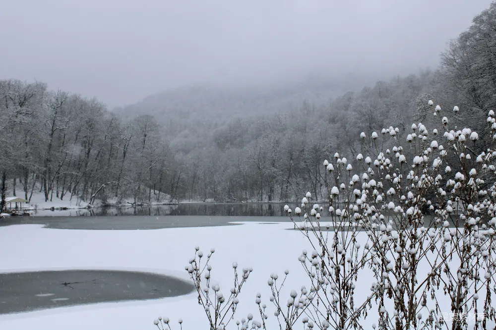高清摄影 雪景 冬季 宁静 自然 户外 雪中湖畔静谧景致