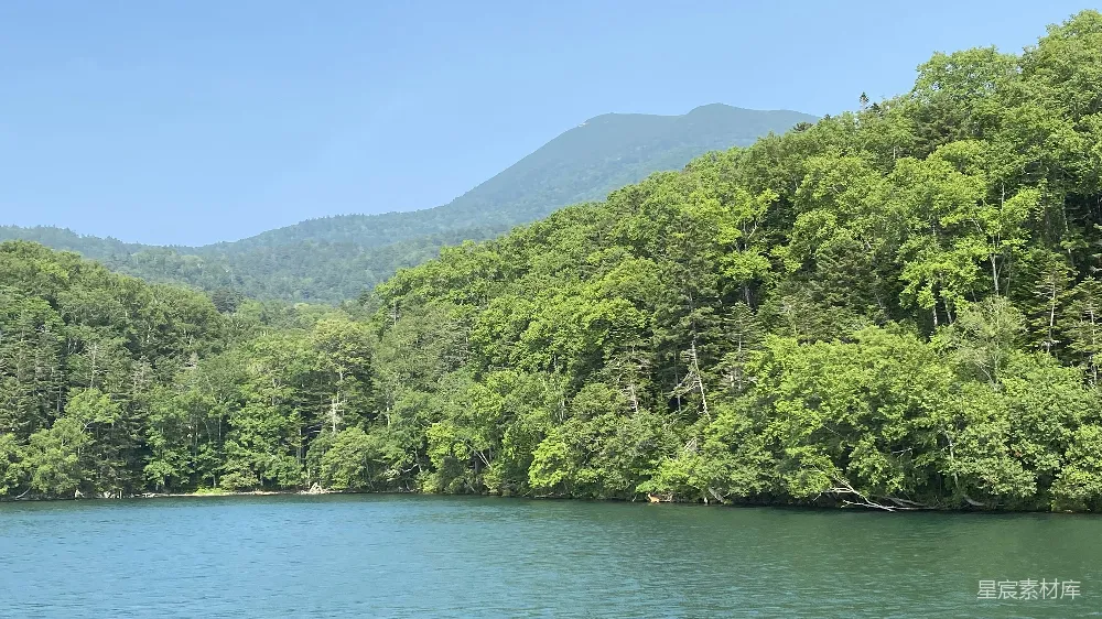 高清摄影 自然风光 湖景 森林 宁静 户外 湖畔绿意盎然的宁静风景