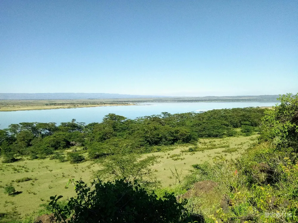 高清摄影 非洲 湖泊 草原 自然风光 旅游 非洲草原湖泊全景