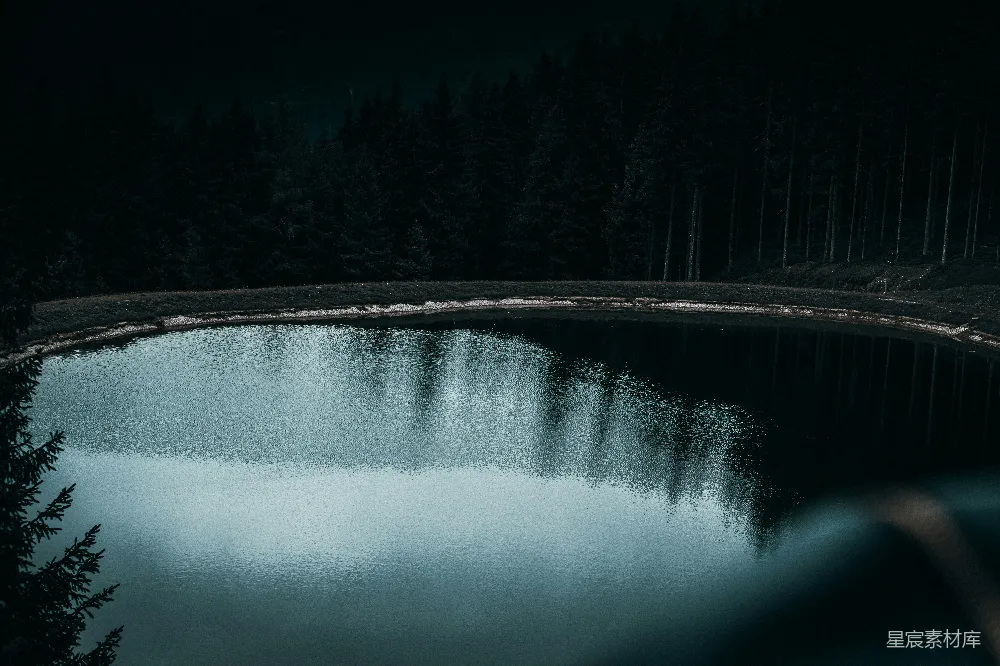 高清摄影 湖景 森林 宁静 自然 摄影 宁静的森林湖景