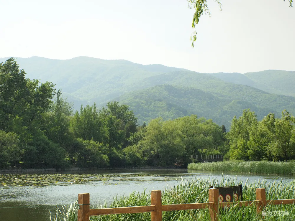 高清摄影 自然风光 山水美景 休闲放松 户外摄影 夏日清新 湖边的绿意盎然