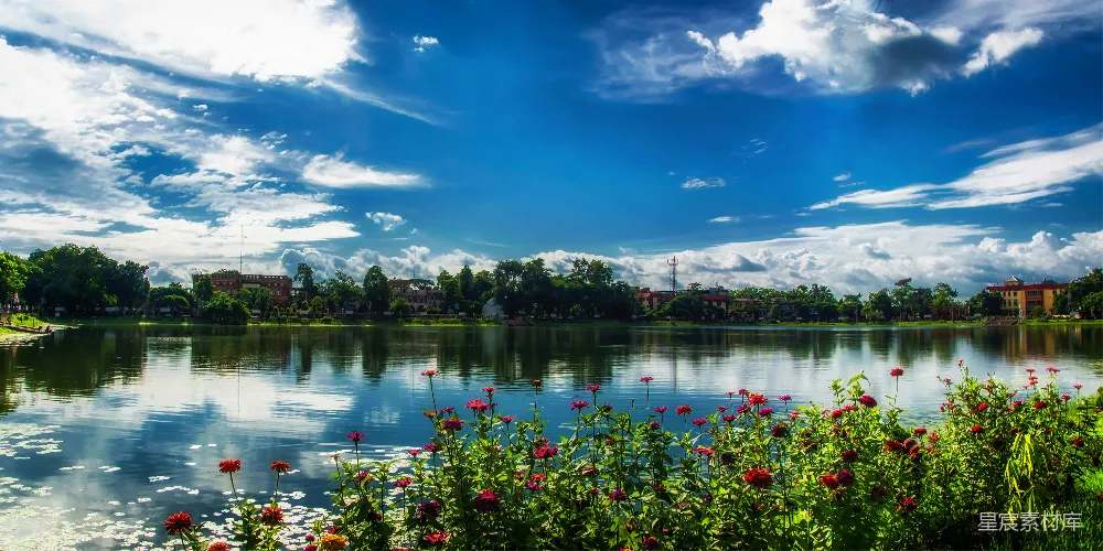 高清摄影 湖景 自然风光 宁静 花卉 城市公园 湖畔的宁静与自然之美