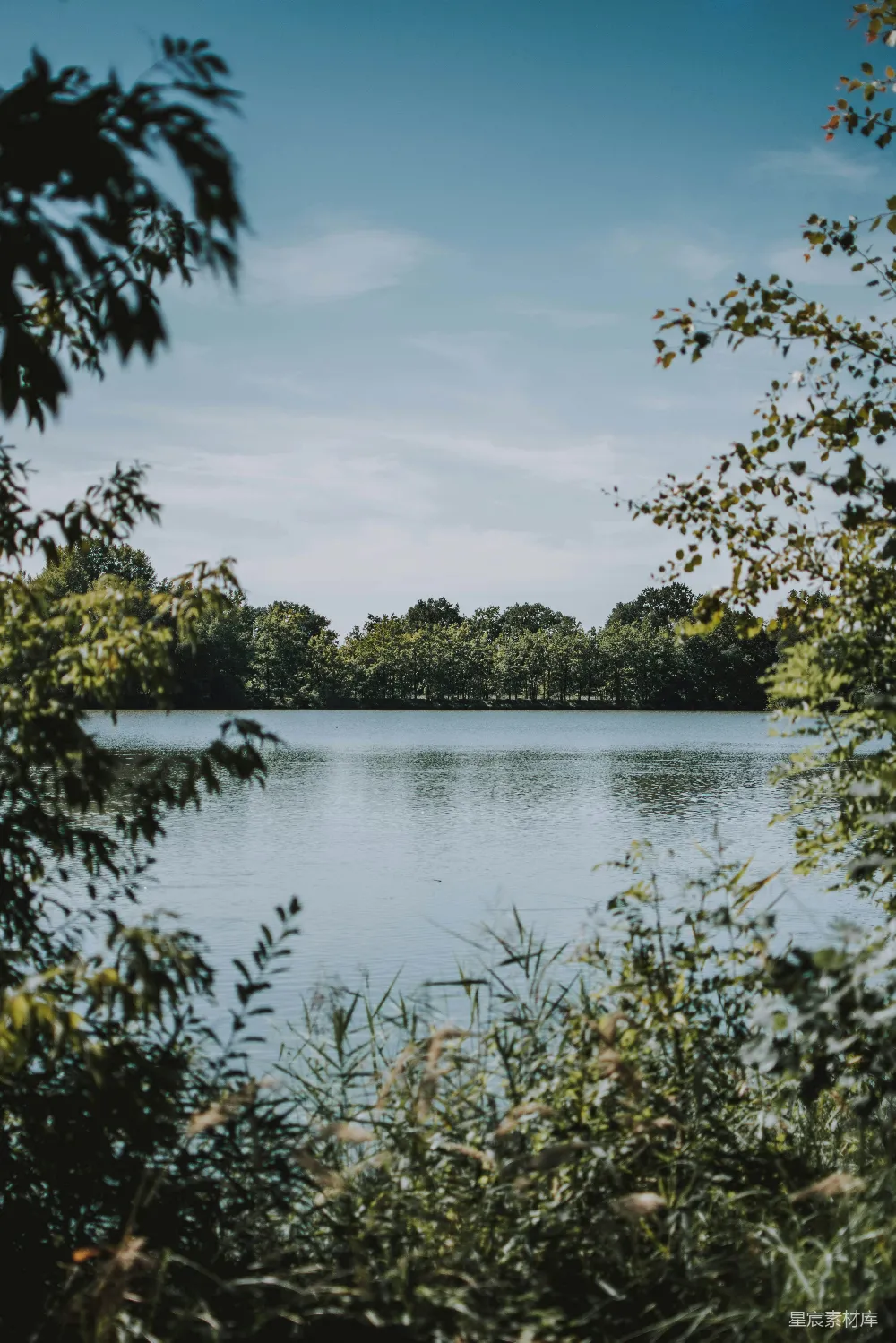 高清摄影 自然风光 湖景 宁静 风景 户外 宁静湖边的自然风光