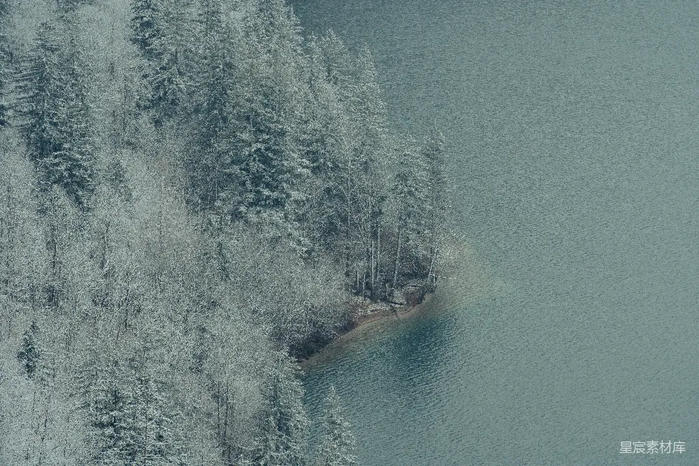 高清摄影 雪景 湖泊 森林 冬季 自然 雪景中的湖泊与森林