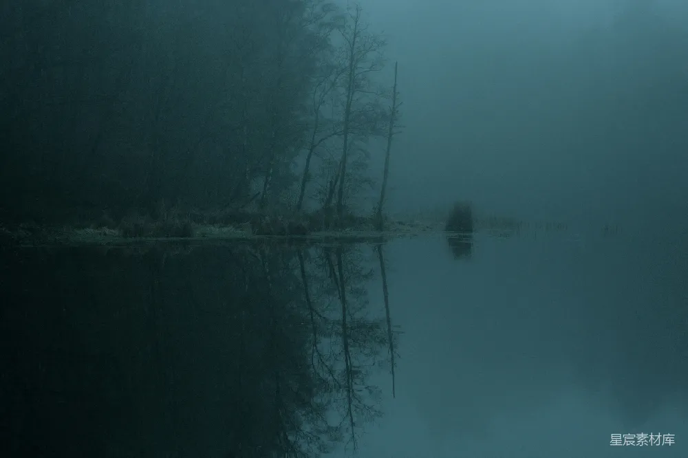 高清摄影 湖景 雾 宁静 自然 风景 雾中的静谧湖景