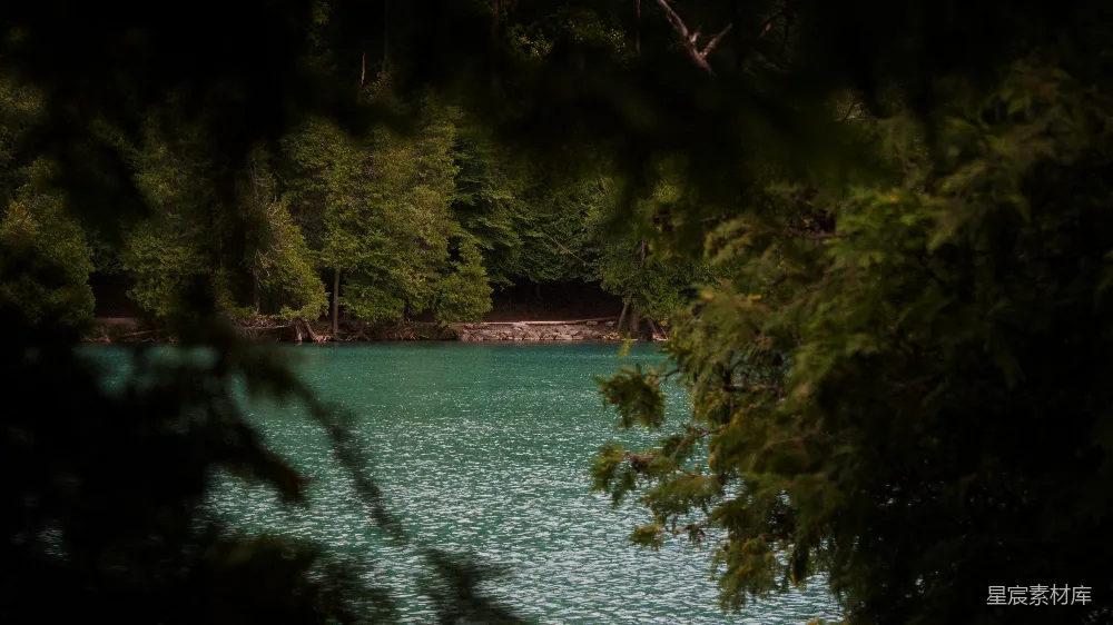 高清摄影 自然风光 宁静 森林 湖水 户外 静谧湖畔的森林景色