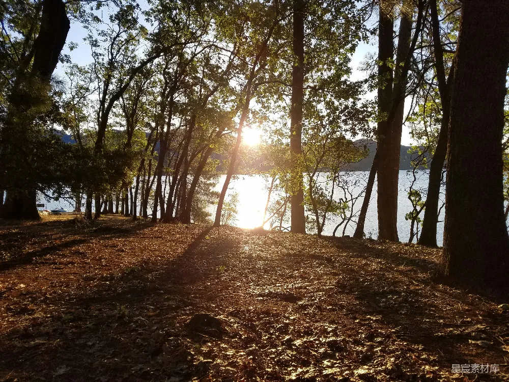 高清摄影 自然风光 夕阳 湖景 树木 宁静 湖畔夕阳