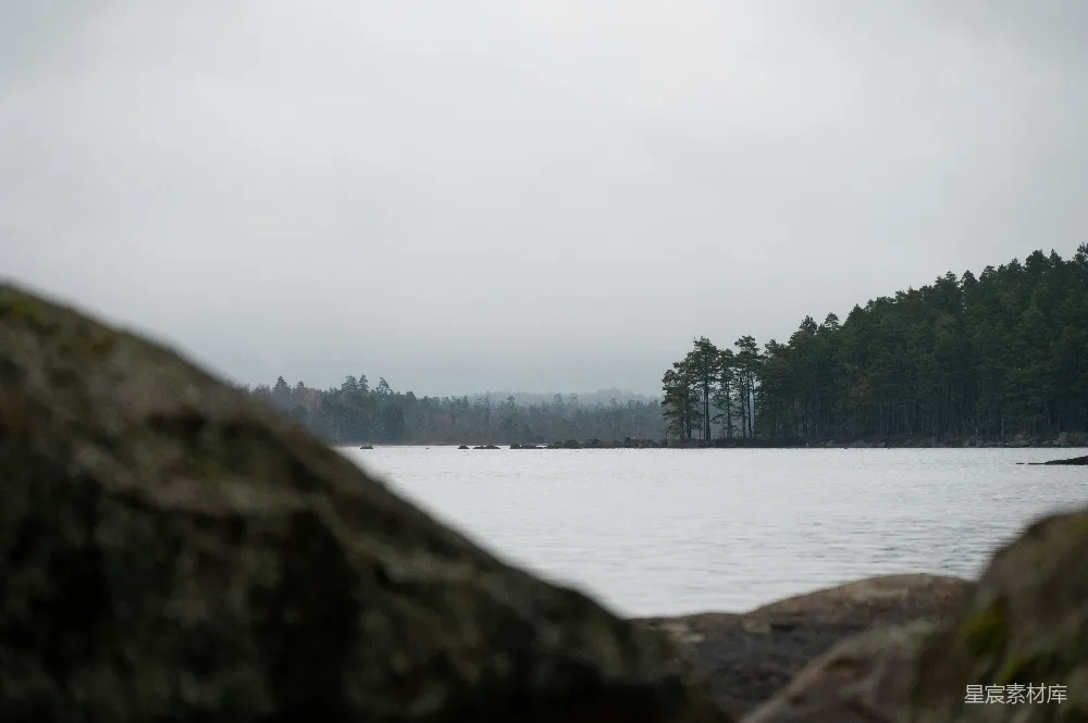高清摄影 湖泊 森林 宁静 自然 风景 湖畔的宁静与森林的倒影