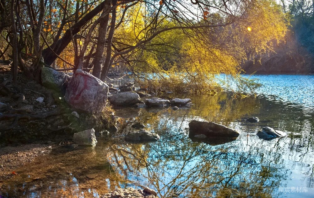 高清摄影 湖畔 秋天 自然 风景 宁静 金色秋日的湖畔