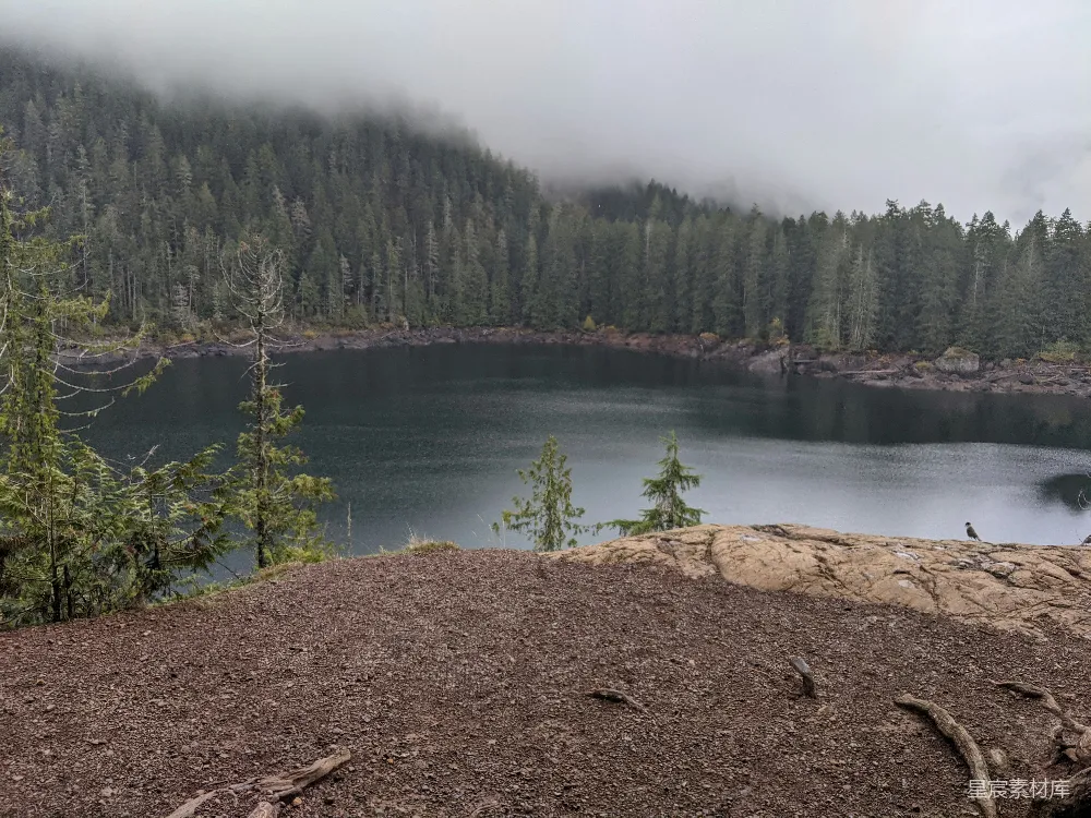 高清摄影 自然风光 森林 湖泊 雾气 宁静 雾中森林与静谧湖景