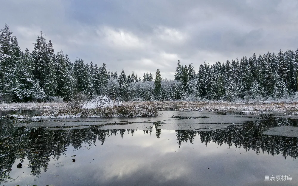 高清摄影 冬景 雪景 湖泊 森林 宁静 冬日静谧湖畔雪景