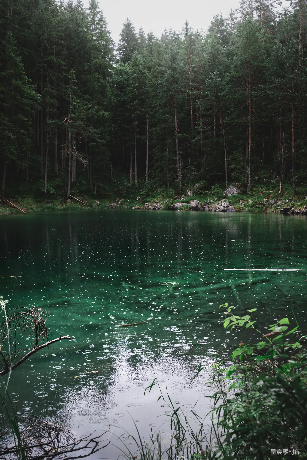 高清摄影 森林 湖泊 雨景 自然 宁静 雨中的森林湖泊