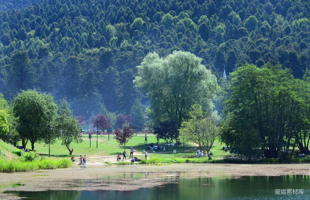 高清摄影 自然风景 休闲娱乐 户外活动 夏日风光 湖泊 湖畔的宁静时光