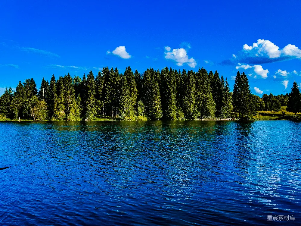 高清摄影 自然风光 湖景 宁静 蓝天 森林 蓝天下的宁静湖景