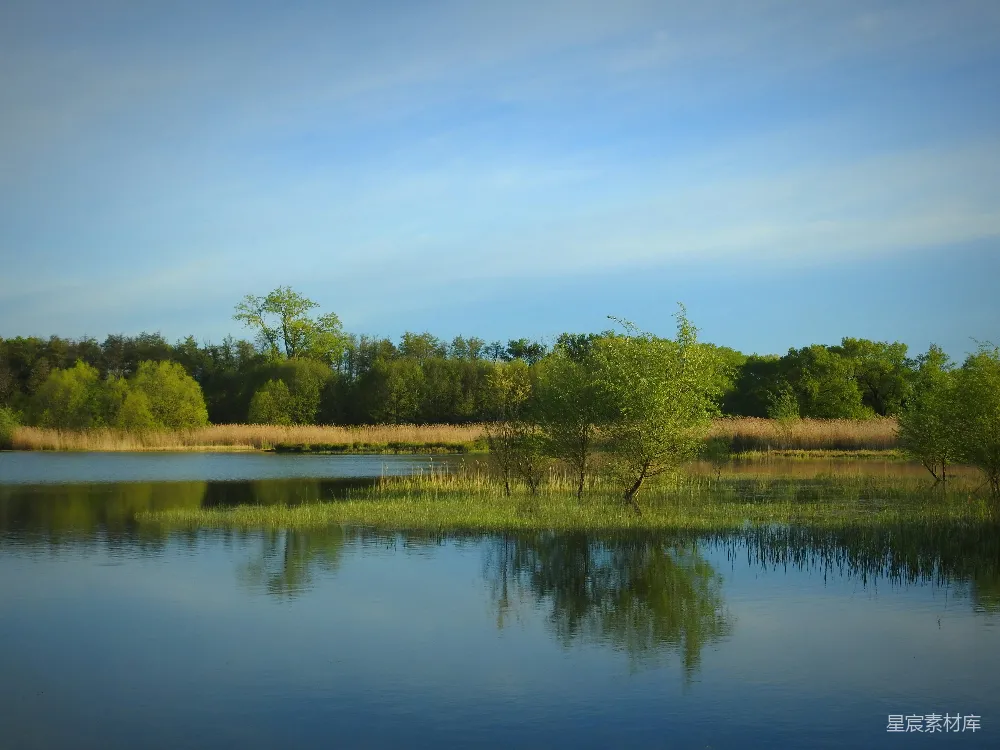 高清摄影 自然风光 春季 湖景 宁静 绿色 宁静的湖畔春景