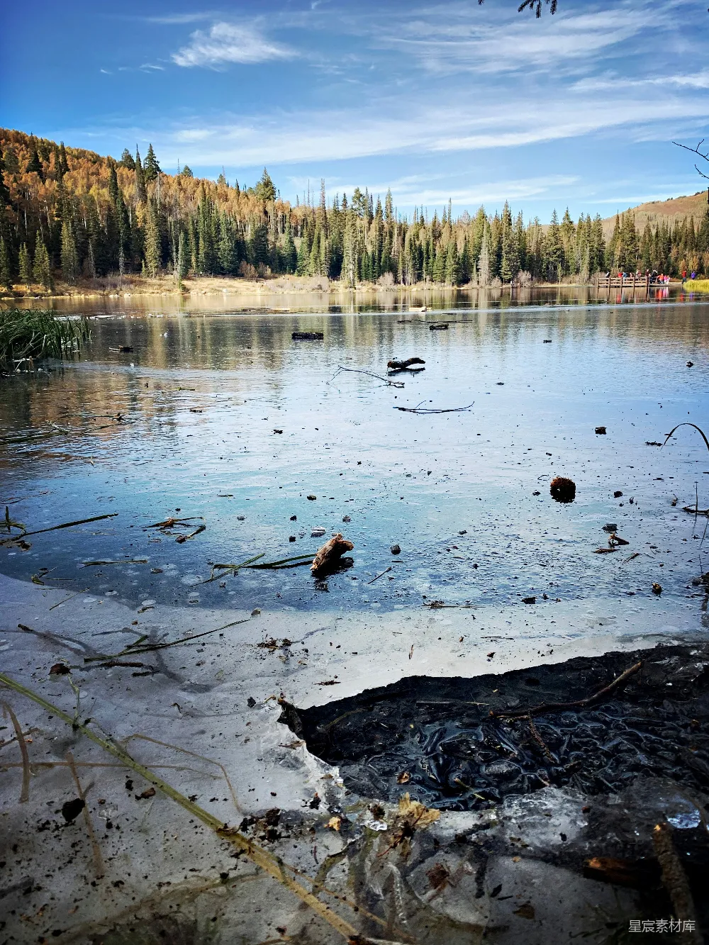 高清摄影 秋天 自然风光 湖畔 冰封 宁静 冰封的湖边秋景