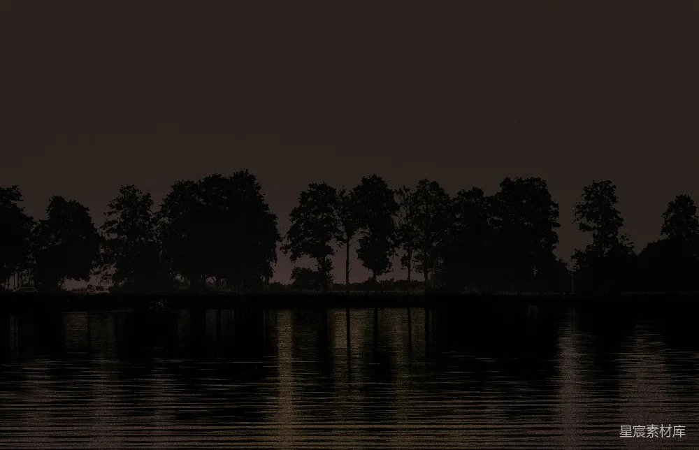 高清摄影 夜景 宁静 湖边 树木 黑暗 夜幕下的湖景