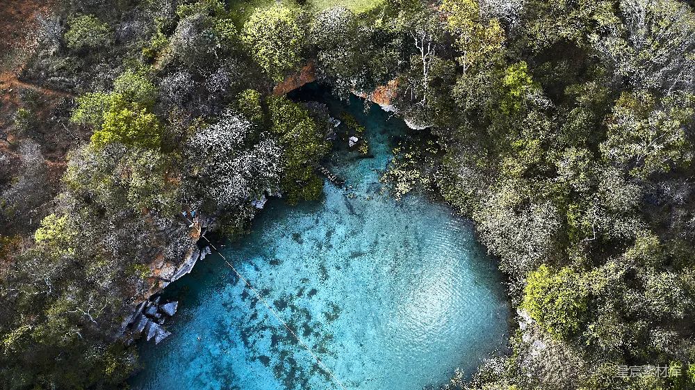高清摄影 自然风光 航拍视角 清澈湖水 热带雨林 探险 森林深处的神秘水潭