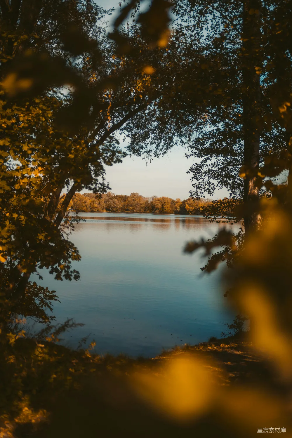 高清摄影 秋天 湖景 宁静 自然 户外 秋日湖畔的宁静时光