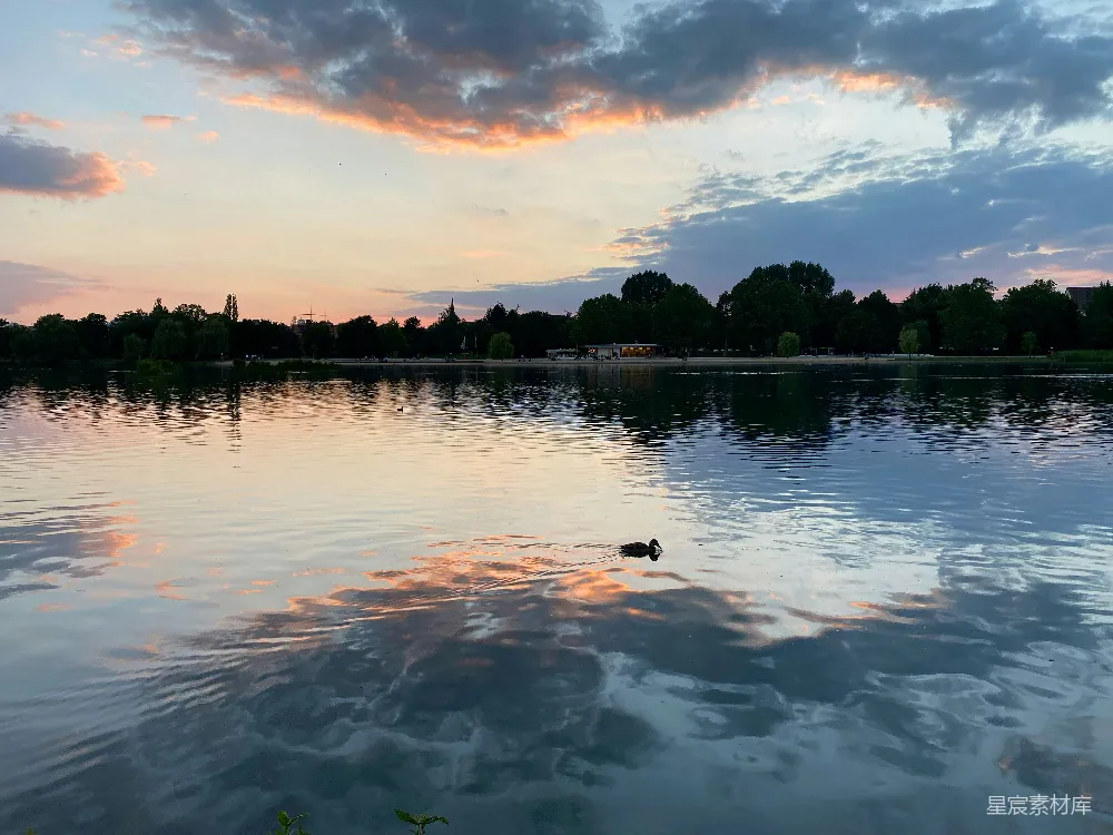 高清摄影 自然风光 宁静时刻 夕阳 湖面倒影 鸭子 黄昏湖景