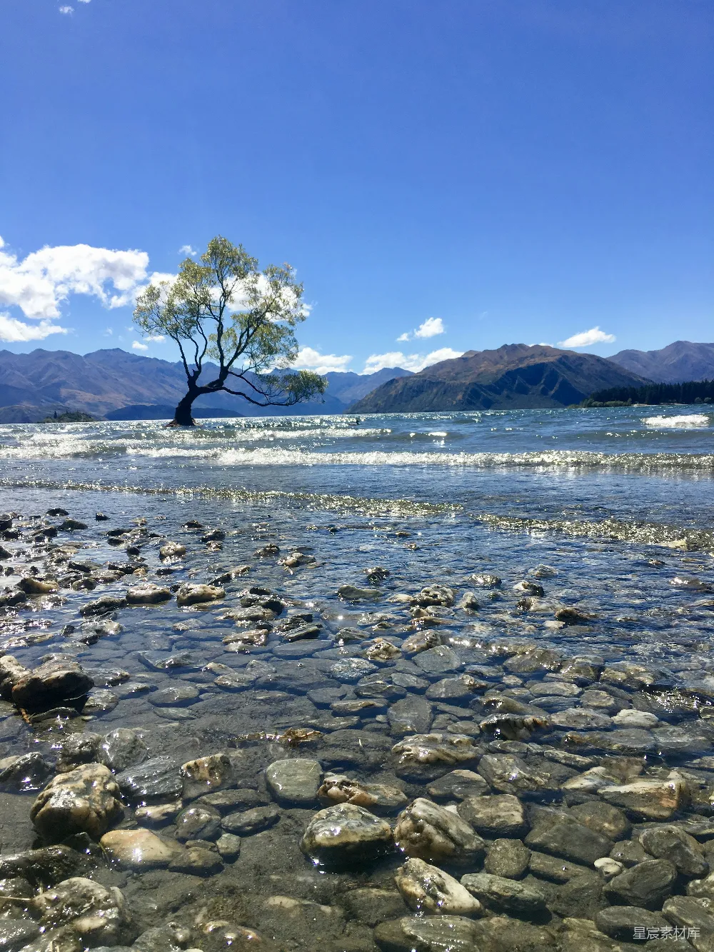 高清摄影 风景 自然 静谧 湖泊 树 独木湖畔