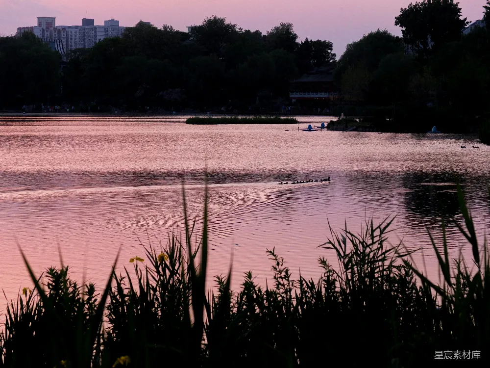 高清摄影 自然 黄昏 宁静 水边 日落 夕阳下的湖畔