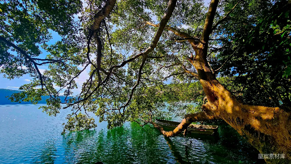 高清摄影 自然风光 湖畔景色 宁静氛围 户外休闲 自然之美 树下静谧的湖畔