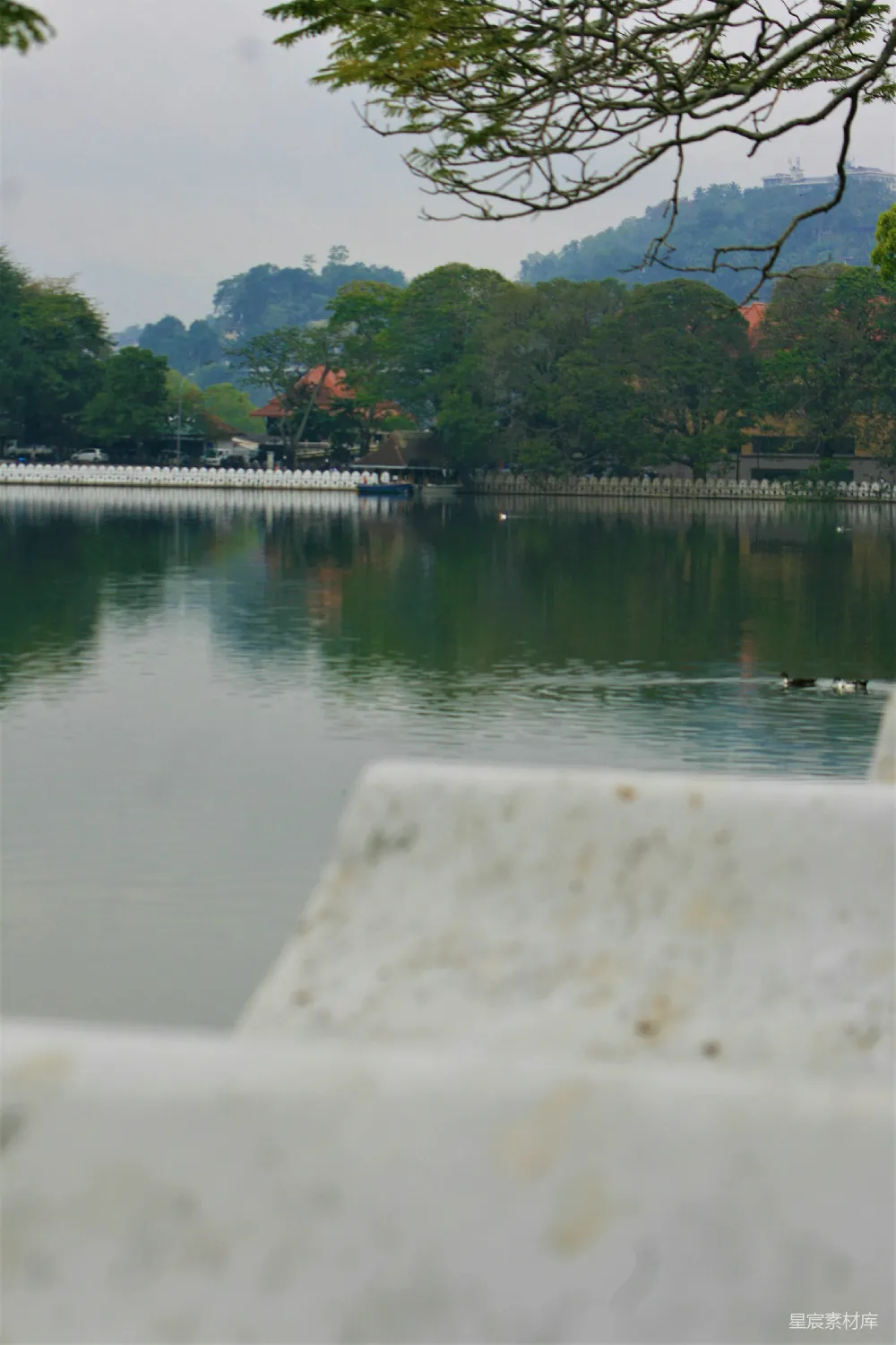 高清摄影 自然风光 宁静湖景 休闲时光 户外摄影 湖泊 静谧湖畔的宁静时光